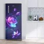 Whirlpool 2 Star Single Door Refrigerator